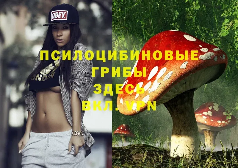 Галлюциногенные грибы Psilocybe  купить  сайты  Билибино 